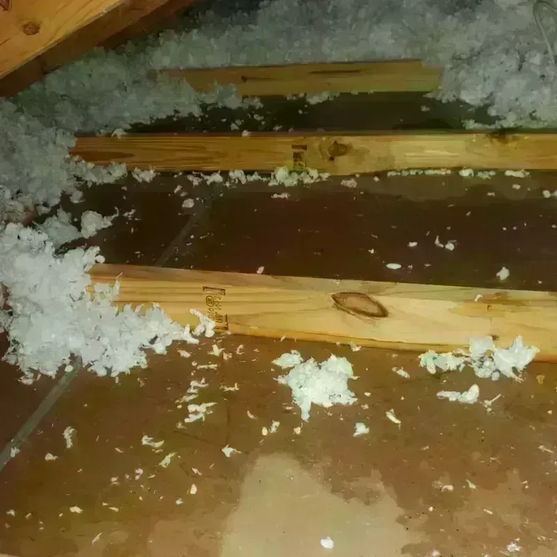 Attic Water Damage in Salmon Brook, CT